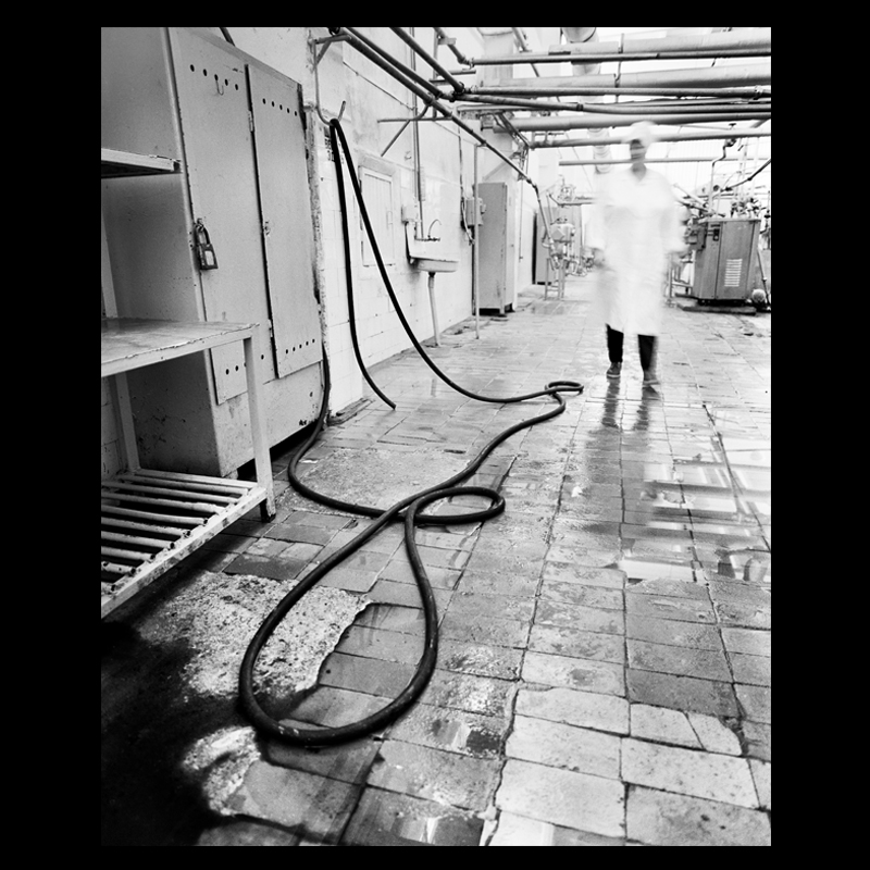 Russian_Women_large_3